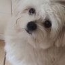 Cris cassia profil fotoğrafı