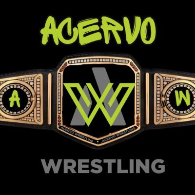 Acervo Wrestling's profile picture