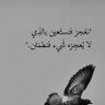أفنان 💫 profil fotoğrafı