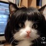 Profilbild von Silvia_