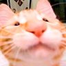 Profilbild von Lushoofw