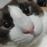emie 的头像