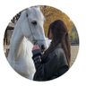 شوق 🐎's profile picture