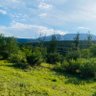 Фото профиля Gilikanqo