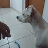 J. Nick profil fotoğrafı