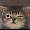 Profilbild von ๐ดโโ ๏ธ๐ฅถ
