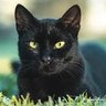 Jabu&Ticaba profil fotoğrafı