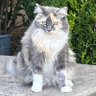 squeaky profil fotoğrafı