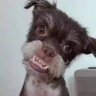 Profilbild von Andressa