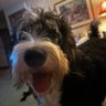 Meg21 Fastpitch's profile picture