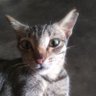 Profilbild von Mr Broto