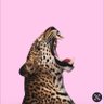 Kitedinho2's profile picture