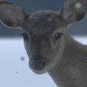 DEER 的头像