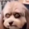 Ilovethisgame's profile picture