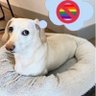 😨😨😨😨😨 profil fotoğrafı