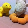 あさひ profil fotoğrafı