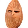 Brendan's profile picture