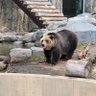 Фото профиля 北のクマさん📘💧