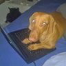 IAN 𐚁 profil fotoğrafı