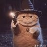 Фото профиля meow