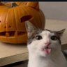 Sam 👁️👄👁️ profil fotoğrafı