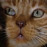 Profilbild von jacubwinslow6969