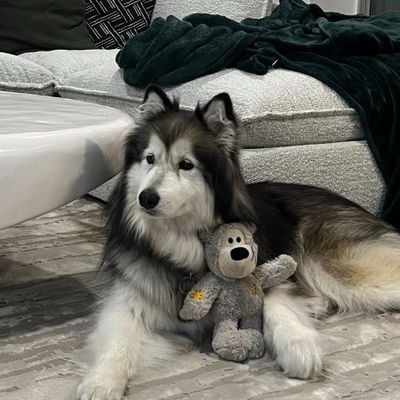 tantrum1977's profile picture