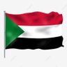Bashir Douda's profile picture