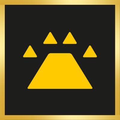 Ingonyama (Now MoonMath AI)'s profile picture
