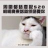 李俊傑 的头像