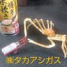 紅燐火's profile picture