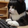 深瀬敦子 profil fotoğrafı