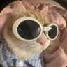 Hariz profil fotoğrafı
