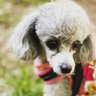 hiroko's profile picture