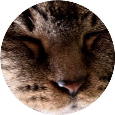 akki_0429_net's profile picture
