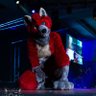 Pup Kaiser's profile picture