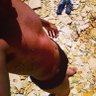 Rickie Bittencourt's profile picture