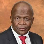 Mondli Gungubele, MP's profile picture