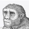Profilbild von tchadensis
