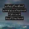 Nawazish Ali waseer's profile picture