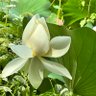 Фото профиля Ana Mole