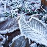 🍁🌧️Meteorología México🥶❄️ 的头像