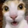 Profilbild von Valentin