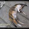 unolin profil fotoğrafı