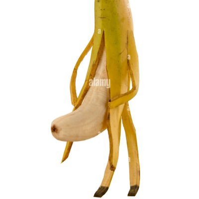 Pubshiit's profile picture