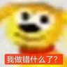 悲伤向日葵🌻 的头像