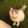 jokay profil fotoğrafı