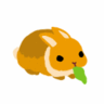 大賀一五🐰ラビとびら 的头像