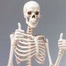 calaca perrona's profile picture