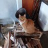 Profilbild von Bad Kitty